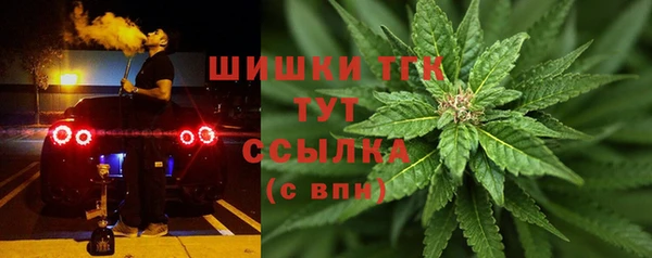 гидра Аркадак