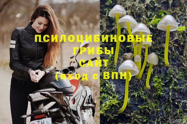 apvp Арсеньев