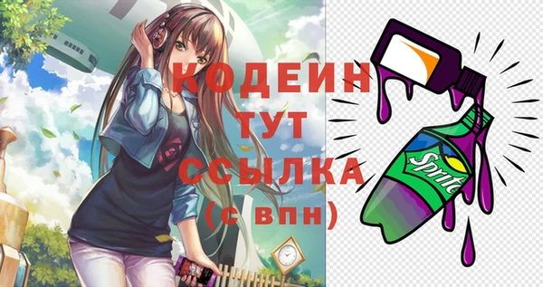 apvp Арсеньев