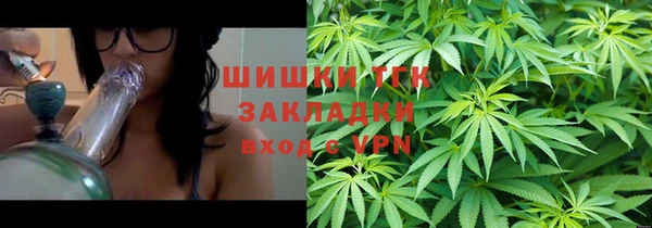 ГАЛЛЮЦИНОГЕННЫЕ ГРИБЫ Балахна