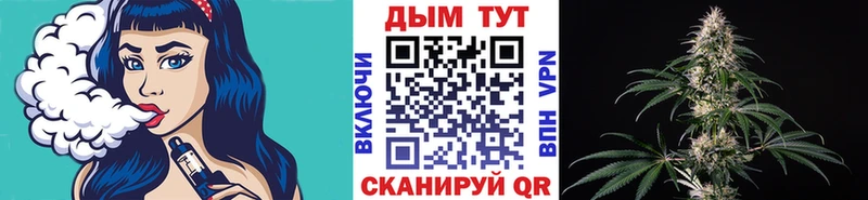 Каннабис план Теберда